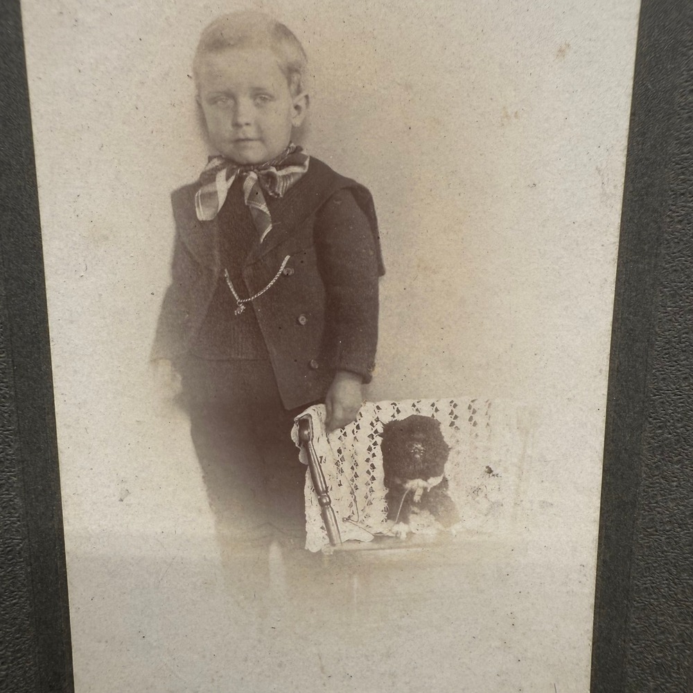 Antique Photo Boy‎ in Suit With Stuffed Toy Early 1900s Mounted Sepia Portrait
